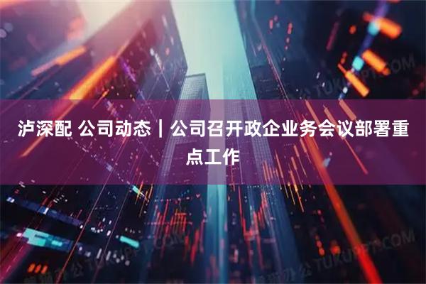 泸深配 公司动态|公司召开政企业务会议部署重点工作